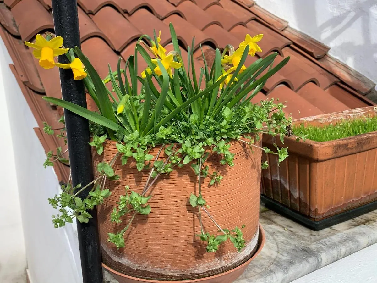 Apartment Rooftop Terrace Domus Dei Fabbri Venedig