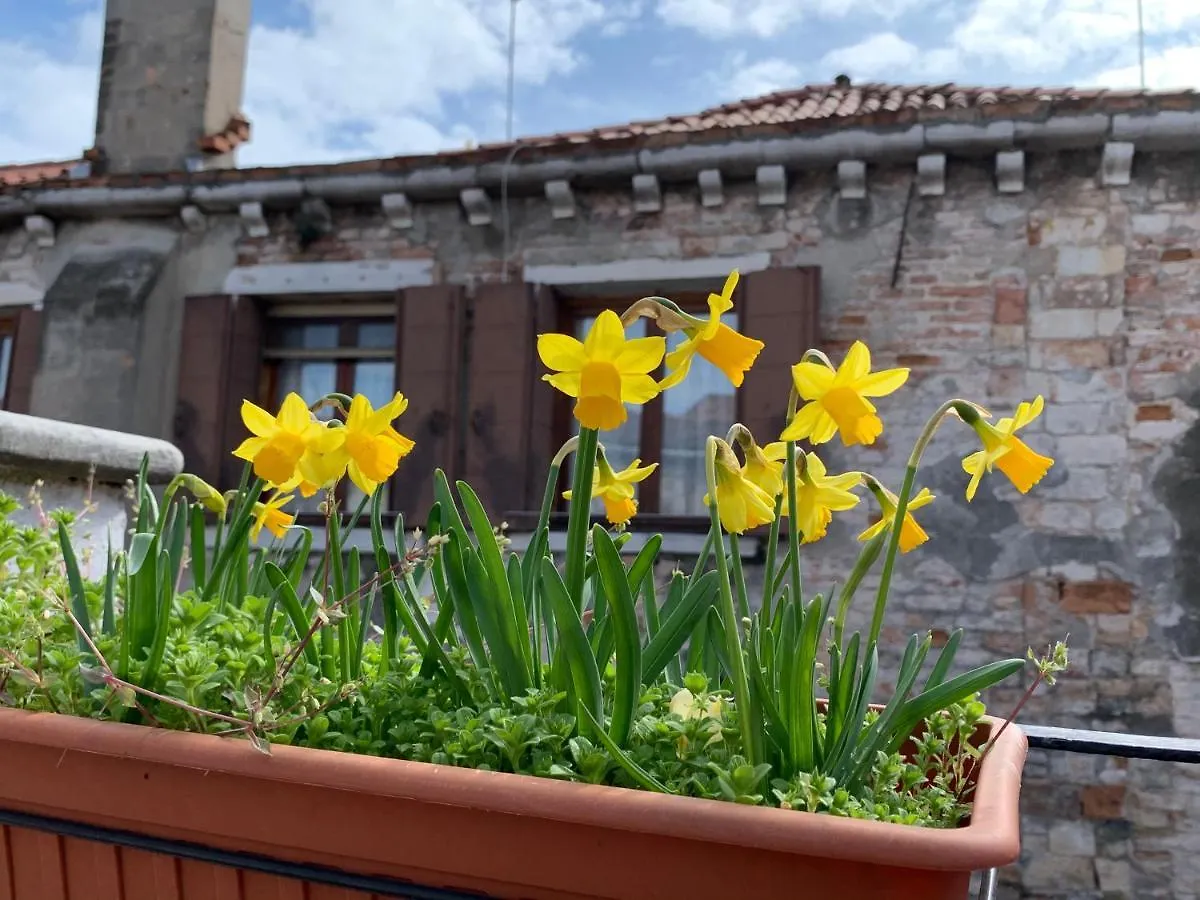 Rooftop Terrace Domus Dei Fabbri Venedig Italien